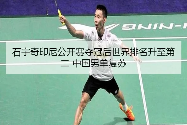 shi-yu-qi-yin-ni-gong-kai-sai-duo-guan-hou-shi-jie-pai-ming-sheng-zhi-di-er-zhong-guo-nan-dan-fu-su-3-985.jpg