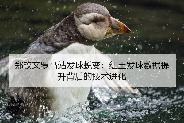 郑钦文罗马站发球蜕变：红土发球数据提升背后的技术进化