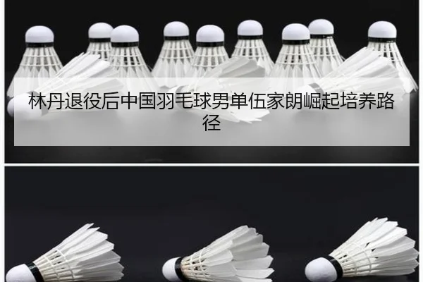林丹退役后中国羽毛球男单伍家朗崛起培养路径