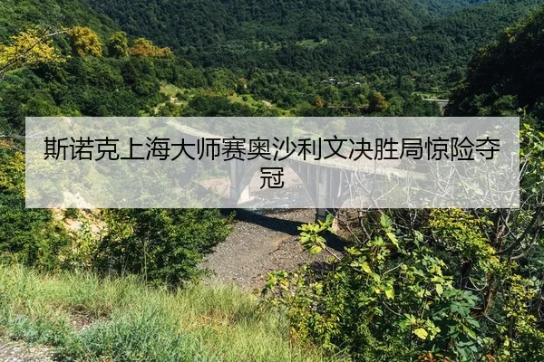 si-nuo-ke-shang-hai-da-shi-sai-ao-sha-li-wen-jue-sheng-ju-jing-xian-duo-guan-2-318.jpg