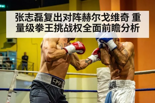 张志磊复出对阵赫尔戈维奇 重量级拳王挑战权全面前瞻分析